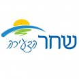 שחר הצעירה