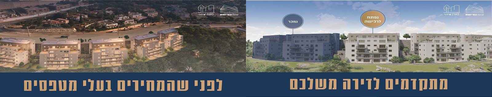 נאות מרדכי