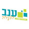 ענב הצעירה