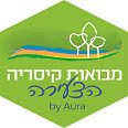 מבואות קיסריה הצעירה