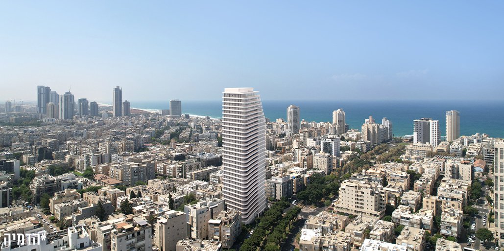 אאורה פיבקו